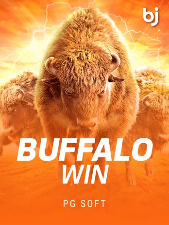 Buffalo Winpng